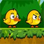 Chicken And Duck 2
