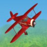 Flight 3D Aerobatic Training